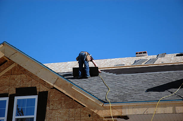 Roof Gutter Cleaning in Nevada, IA