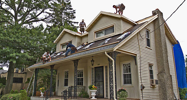 Best Shingle Roofing Installation  in Nevada, IA
